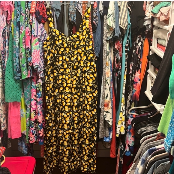 Loft Lemons Jumpsuit, Size XL - Picture 2 of 8